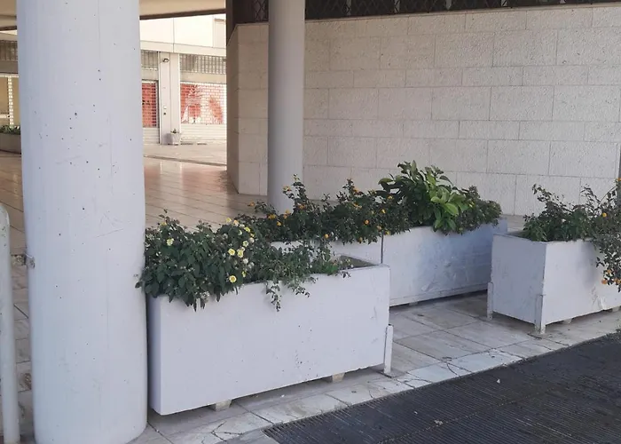 I Fiori Di Lucrezia