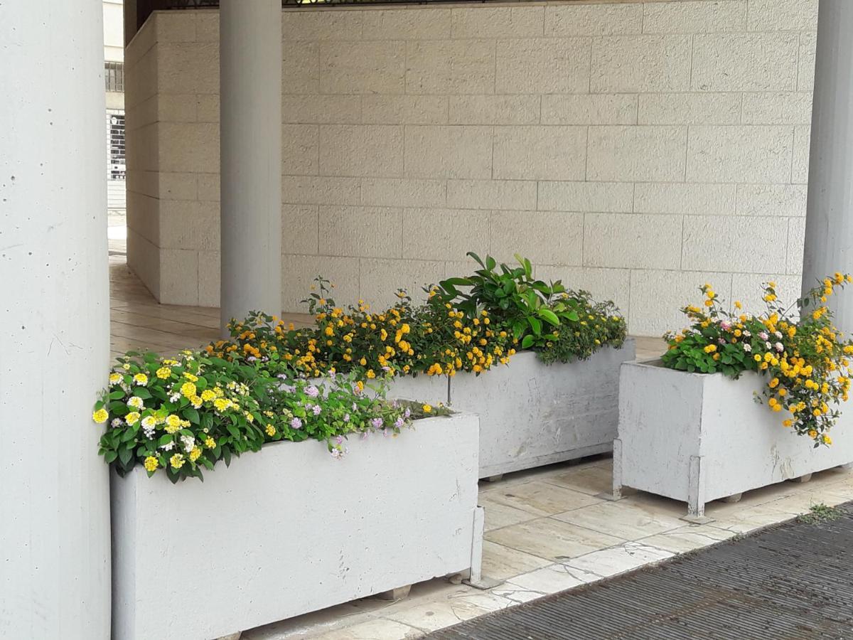 I Fiori Di Lucrezia